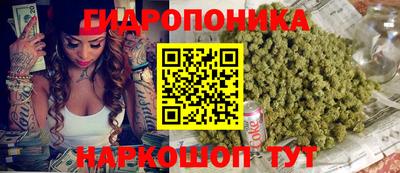 шишки Рязань